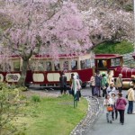 浜名湖花フェスタ2016の日程とガーデンパークなど会場の見どころ